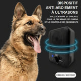 Anti-aboiement à ultrasons pour chien