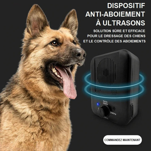 Anti-aboiement à ultrasons pour chien