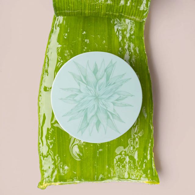 Patchs à l'aloe vera Aloe Beauty (lot de 60 patchs)